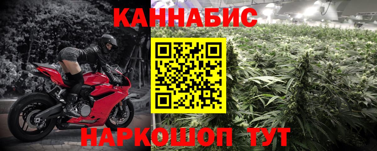 Марихуана планчик  Марихуана OG Kush  Вход с VPN  Вязьма  Бошки марихуана гибрид 